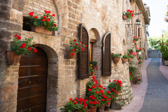 Fototapeta Fototapeta Aleja z kwiatami w Asyżu, Włochy na wymiar