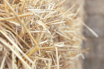 Dry straw close up