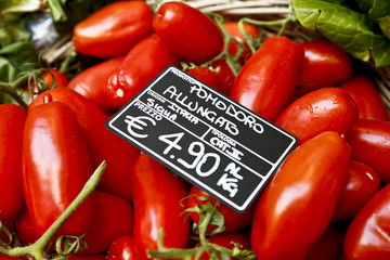 Pomodoro allungato