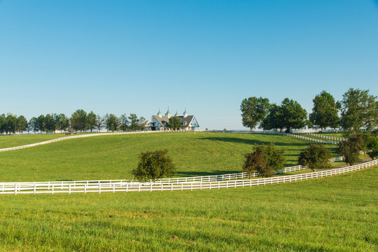 Countryside
