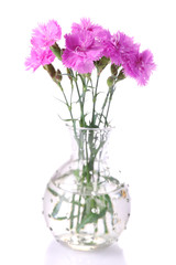 Beautiful summer flowers in vase, isolated on white