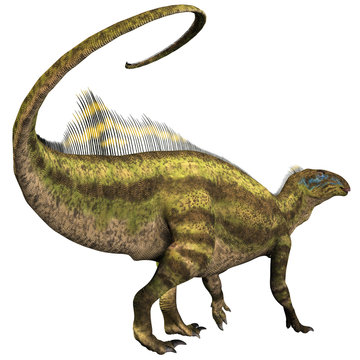 Tenontosaurus Profile