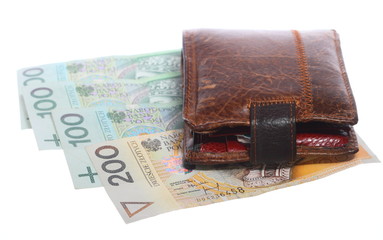 Economy and finance. Wallet with polish banknote isolated