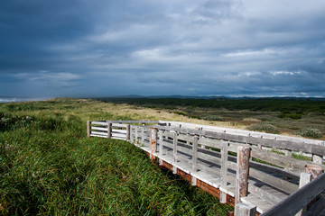 Obraz premium Sunset in the Oregon Dunes