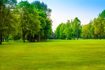 Green landscape