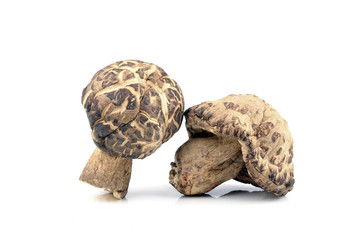 Dried shiitake