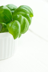 Fresh green basil in a white bowl with copy space
