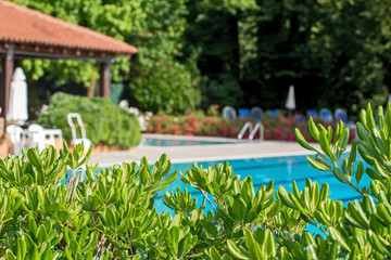 Relaxation zone with greenery and swimming pool