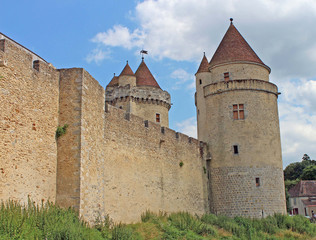 Fototapeta na wymiar Château de Blandy les Tours
