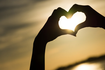 Love sign. Heart symbol by hand silhouette in sunset sky.