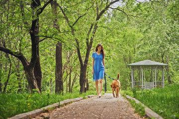 Girl walks with dog