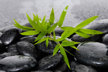 Obraz na płótnie Canvas spa concept zen basalt stones with bamboo leaf