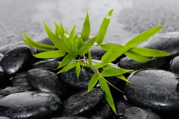 Fotobehang spa concept zen basalt stones with bamboo leaf © Mee Ting