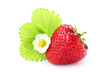Strawberry with a flower and a leaf.