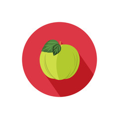 Apple icon