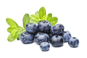 ripe bilberries on white background