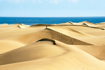 Fototapeta na wymiar Sandy dunes