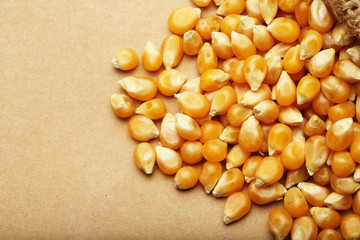 Corn kernels arranged as the background