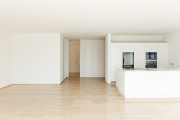 beautiful empty apartment, modern kitchen