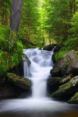 Mountain creek in the national park Sumava-Czech Republic - obrazy, fototapety, plakaty