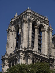 Fototapeta premium Catedral de Notre Dame en París