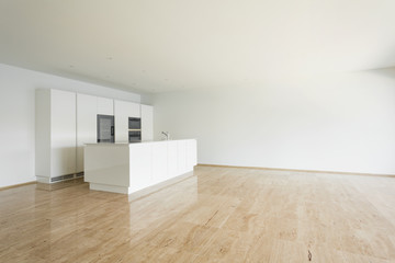 beautiful empty apartment, white kitchen