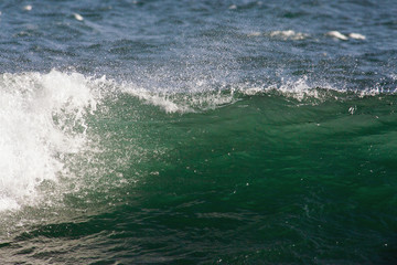 Wave for surfing in blue ocean