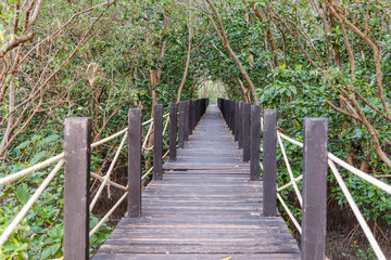 Fototapeta na wymiar wooden bridge in mangrove forest