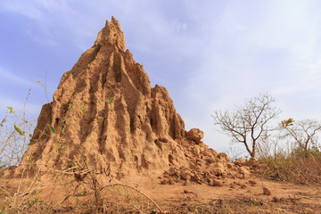 Anthill in africa - 66099594