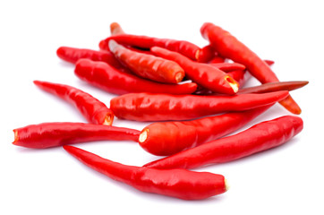 Hot red chili or chilli pepper