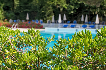Fototapeta na wymiar Relaxation zone with greenery and swimming pool