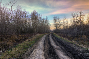Old country road at the autumn sunset light - 66100579