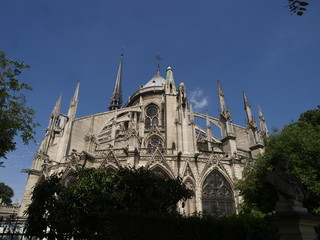 Obraz premium Catedral de Notre Dame en París