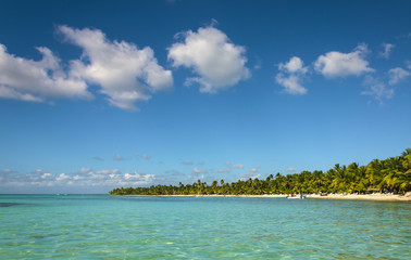 Fototapeta na wymiar Palmy nad przepięknej laguny i piaszczystej plaży