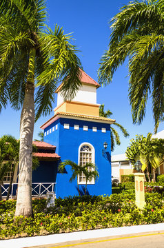 Colorful exotic houses among palm trees