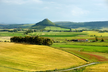 Scenic landscape of a yellow and green meadow