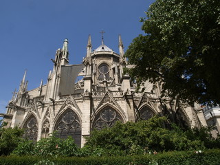 Fototapeta na wymiar Catedral de Notre Dame de París