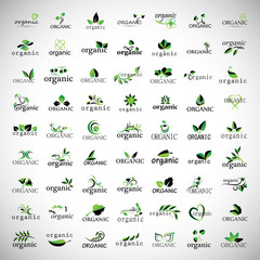Organic Icons Set - Isolated On Gray Background
