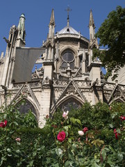 Catedral de Notre Dame de Par&iacute;s