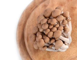 shimeji mushroom on chopping block