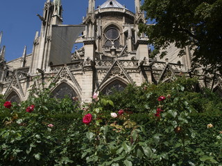 Catedral de Notre Dame en Par&iacute;s
