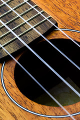 Obraz premium ukulele