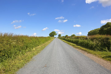 Fototapeta premium newly surfaced rural road