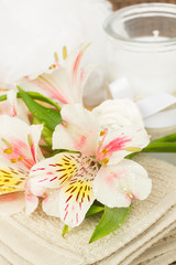 Obraz na płótnie Canvas alstroemeria flower with spa accessories