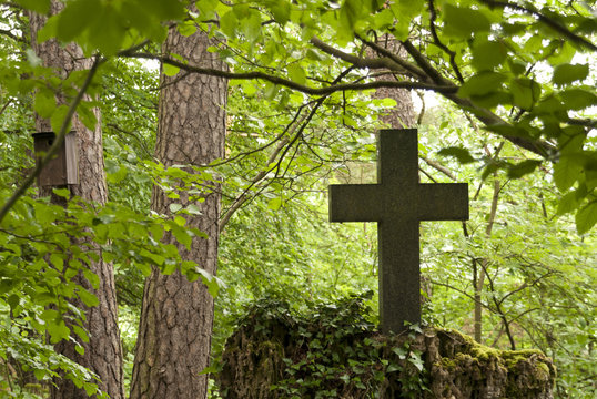 Cemetery in a Forest