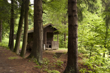 On the Hiking Trail Goldsteig, Germany