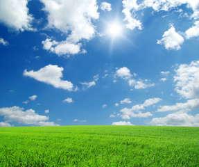 Fototapeta premium landscape