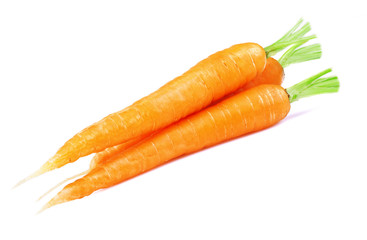 Ripe carrots isolated on a white