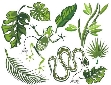 Set of tropical leaves and reptiles