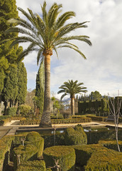 Fototapeta na wymiar Alhambra gardens